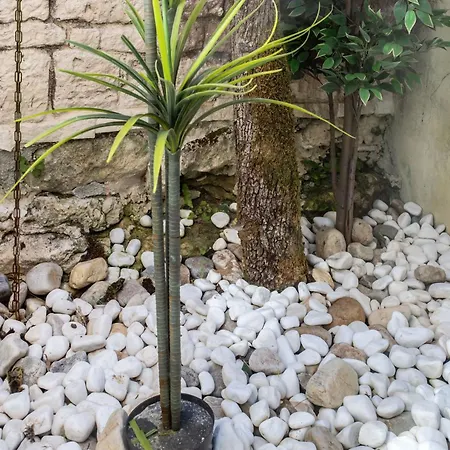 Nocleg ze śniadaniem Le Jardin Des Hirondelles Naturiste 3*
